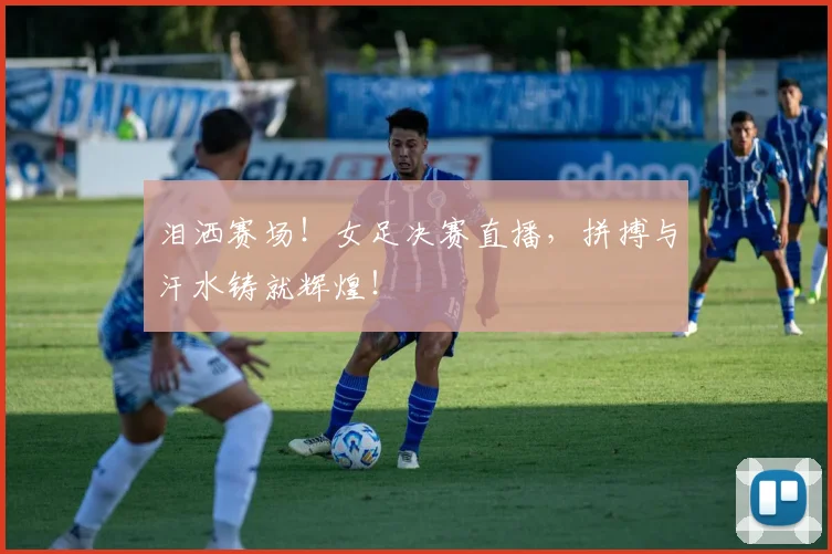 泪洒赛场!女足决赛直播,拼搏与汗水铸就辉煌!